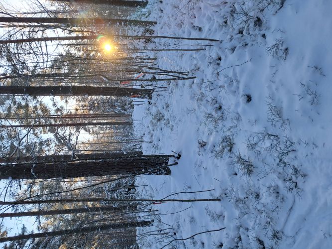 Ratamestarin suosikki!